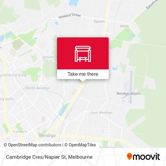 Cambridge Cres/Napier St map