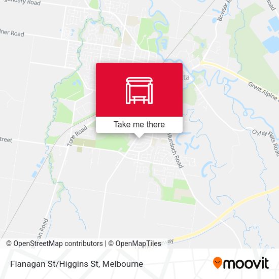 Flanagan St/Higgins St map