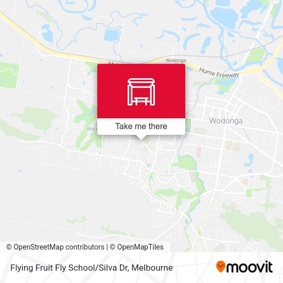 Flying Fruit Fly School / Silva Dr map