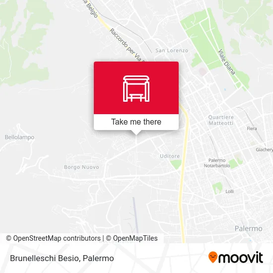 Brunelleschi Besio map