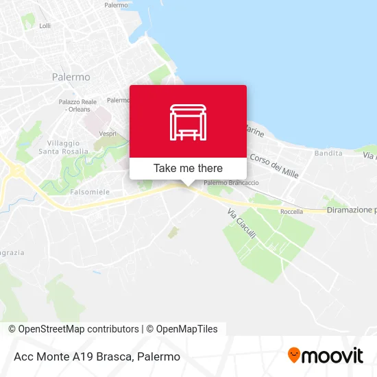 Acc Monte A19 Brasca map