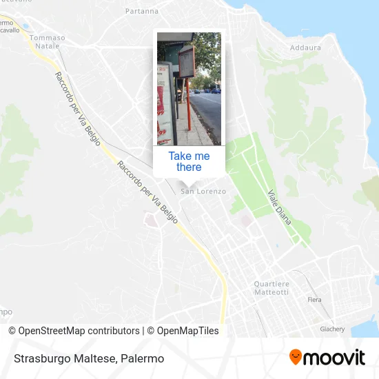 Strasburgo Maltese map