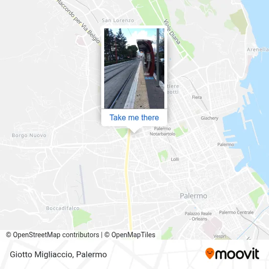 Giotto Migliaccio map