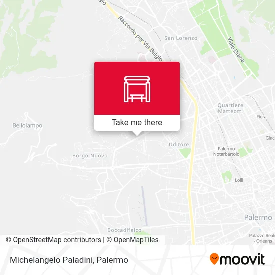 Michelangelo Paladini map