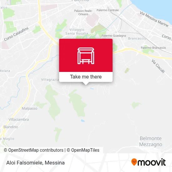 Aloi Falsomiele map