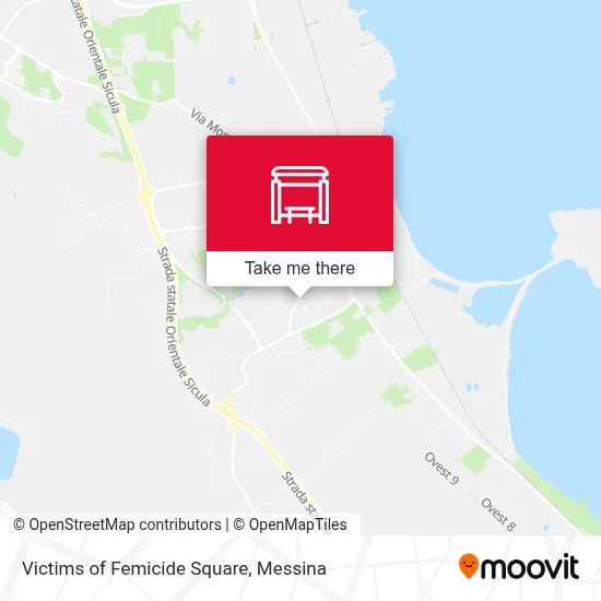 Victims of Femicide Square map