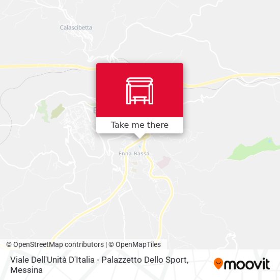 Viale Dell'Unità D'Italia - Palazzetto Dello Sport map