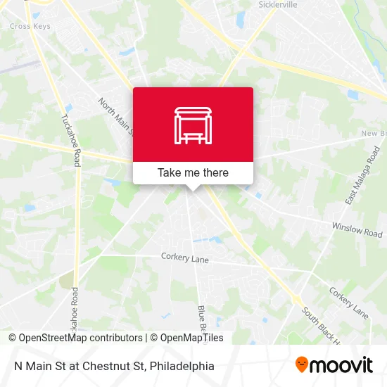 N Main St at Chestnut St map