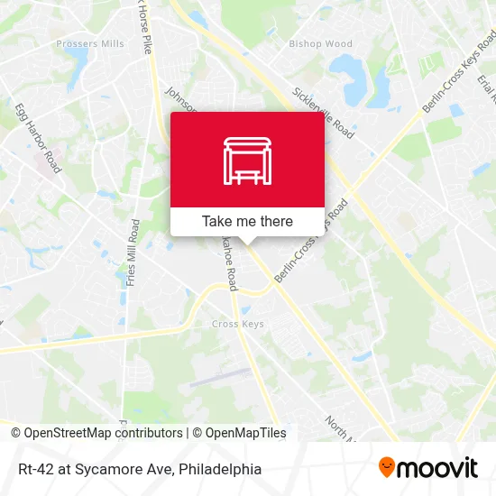 Rt-42 at Sycamore Ave map
