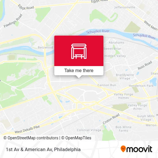 1st Av & American Av map