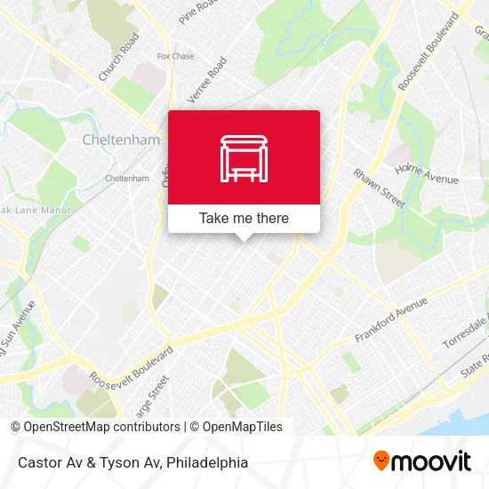 Castor Av & Tyson Av map