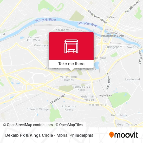 Dekalb Pk & Kings Circle - Mbns map