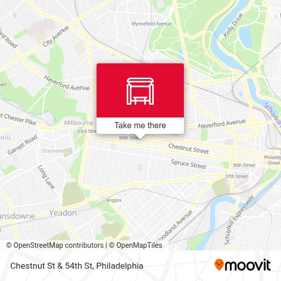 Chestnut St & 54th St map