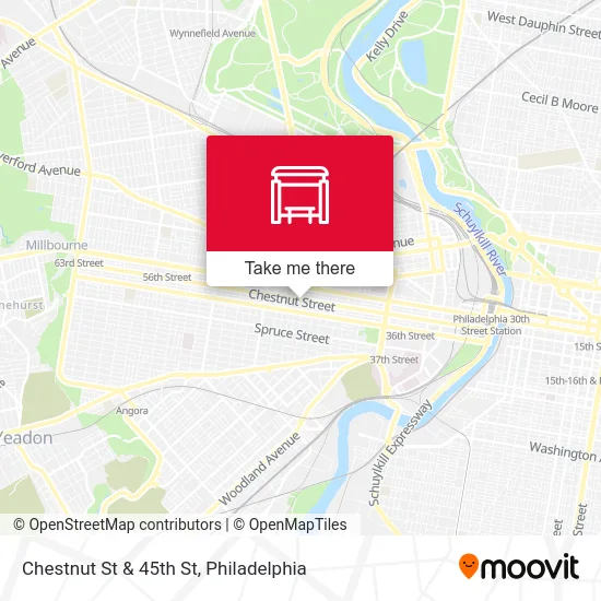 Chestnut St & 45th St map