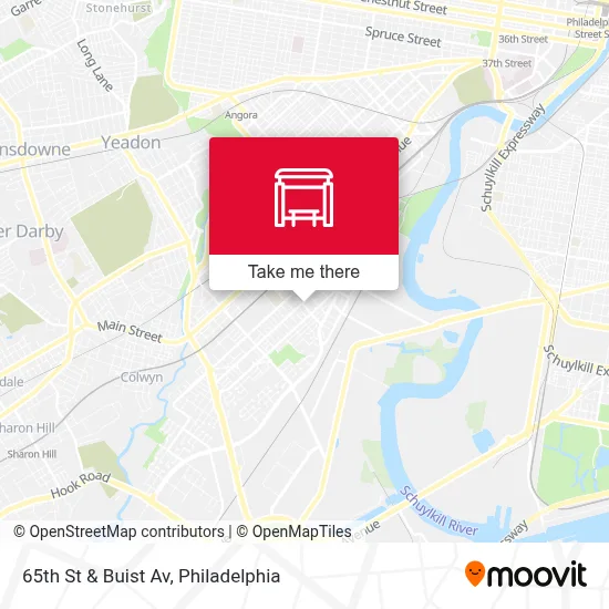 65th St & Buist Av map