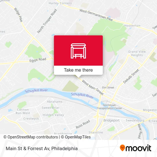 Main St & Forrest Av map