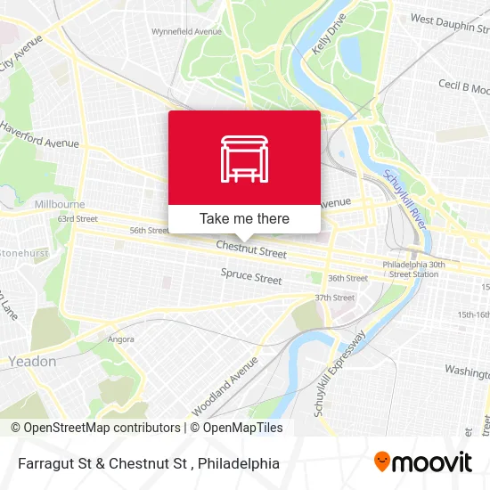 Farragut St & Chestnut St map
