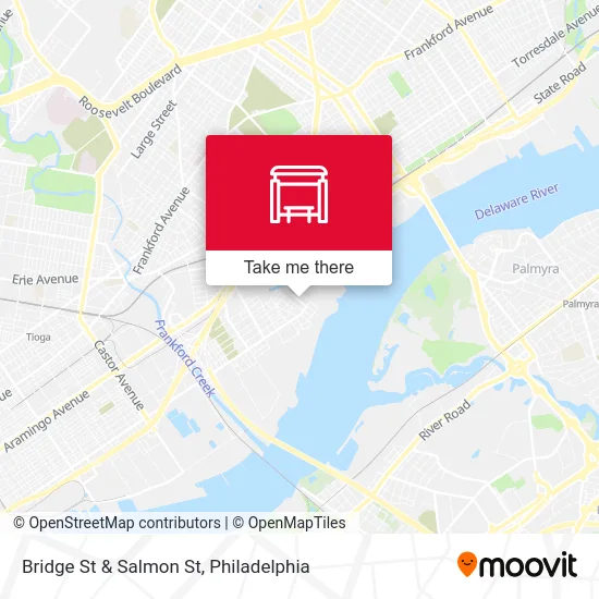 Bridge St & Salmon St map