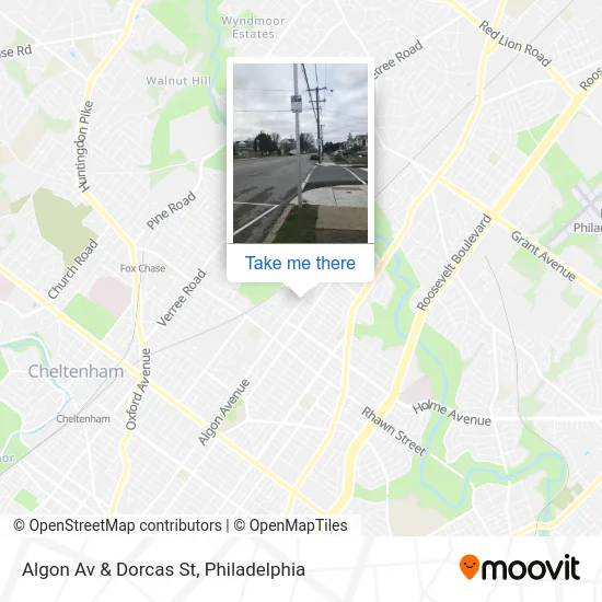 Algon Av & Dorcas St map