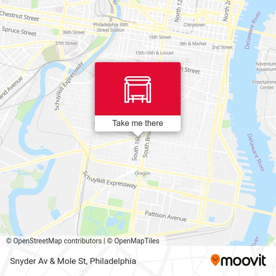 Snyder Av & Mole St map