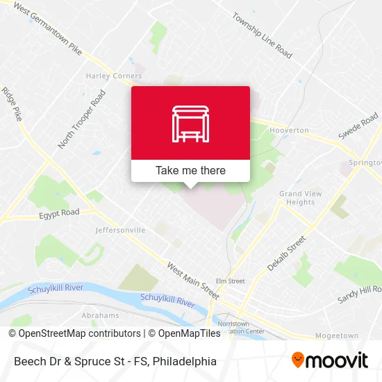 Beech Dr & Spruce St - FS map