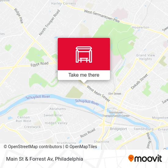 Main St & Forrest Av map