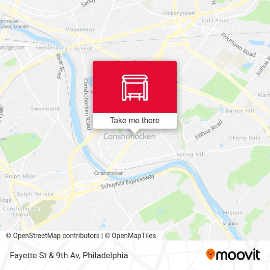 Fayette St & 9th Av map