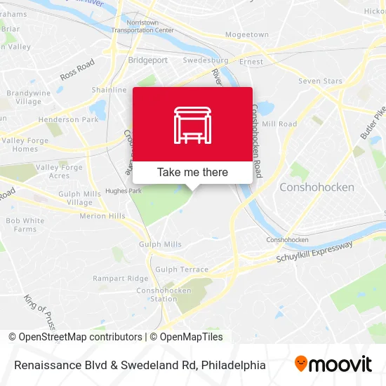 Renaissance Blvd & Swedeland Rd map
