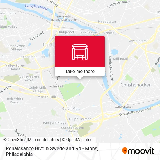 Renaissance Blvd & Swedeland Rd - Mbns map