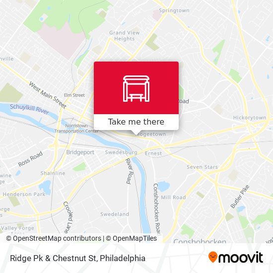 Ridge Pk & Chestnut St map