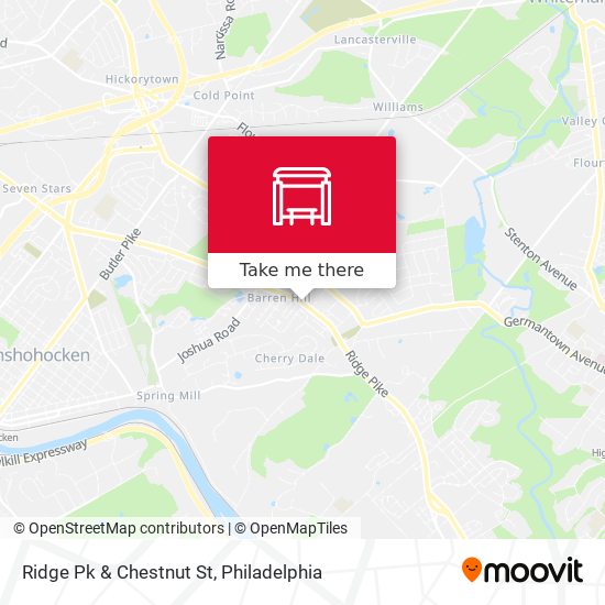 Ridge Pk & Chestnut St map