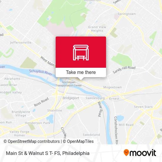 Main St & Walnut S T- FS map
