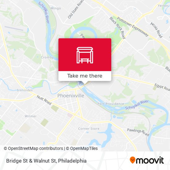 Bridge St & Walnut St map