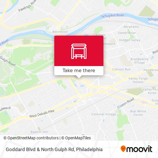 Mapa de Goddard Blvd & North Gulph Rd