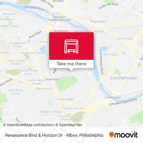 Mapa de Renaisance Blvd & Horizon Dr - Mbns
