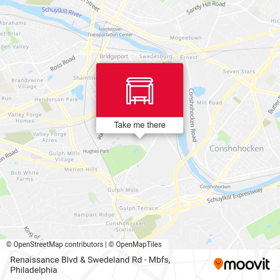 Renaissance Blvd & Swedeland Rd - Mbfs map
