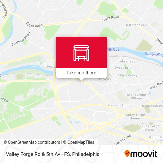 Valley Forge Rd & 5th Av - FS map