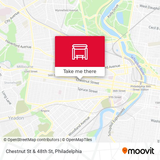 Chestnut St & 48th St map