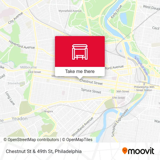 Chestnut St & 49th St map