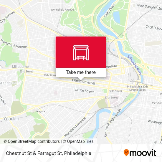 Chestnut St & Farragut St map