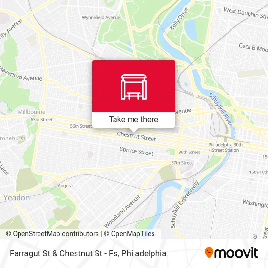 Farragut St & Chestnut St - Fs map