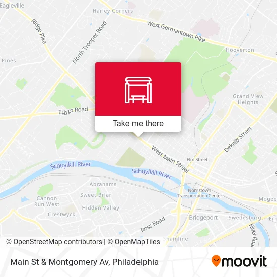 Main St & Montgomery Av map