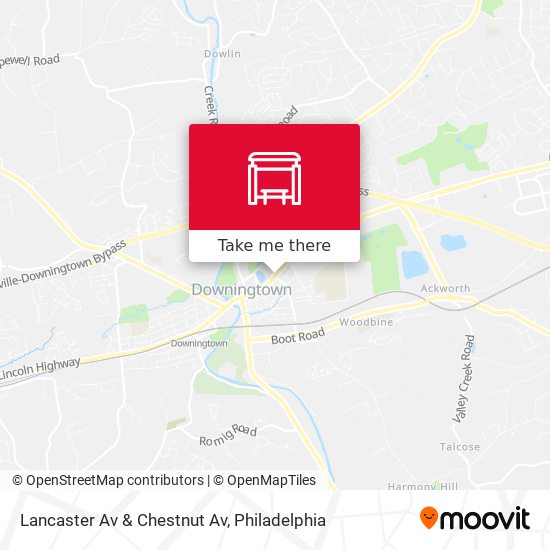 Lancaster Av & Chestnut Av map