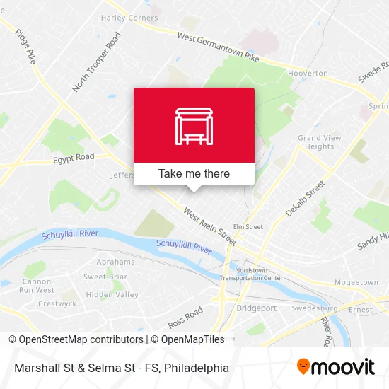 Marshall St & Selma St - FS map