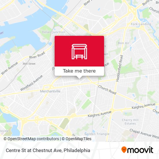 Centre St at Chestnut Ave map
