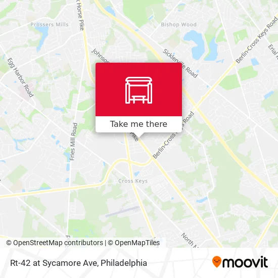 Rt-42 at Sycamore Ave map