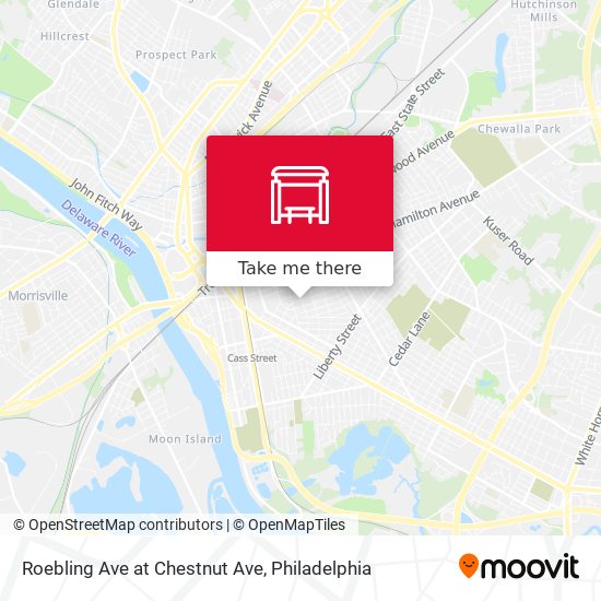 Roebling Ave at Chestnut Ave map