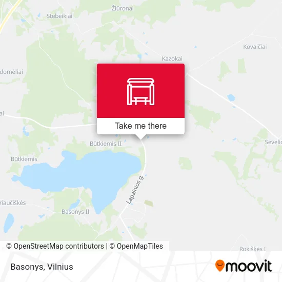 Карта Basonys