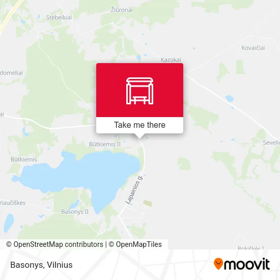 Карта Basonys