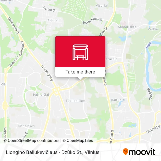 Liongino Baliukevičiaus - Dzūko St. map